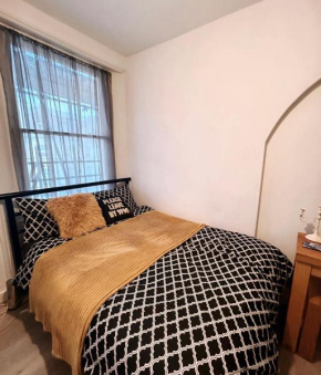 Spacious Studio Flat in London